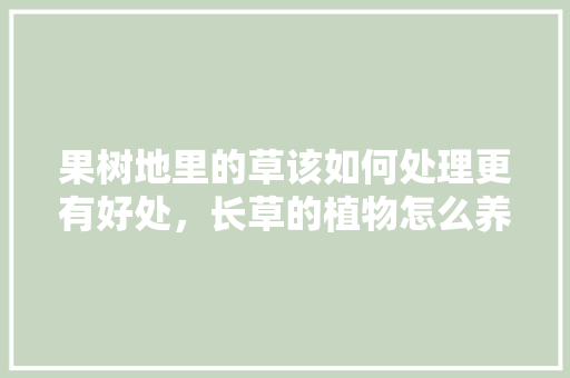 果树地里的草该如何处理更有好处，长草的植物怎么养护好看图片。
