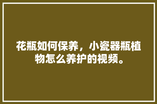 花瓶如何保养，小瓷器瓶植物怎么养护的视频。  第1张 花瓶如何保养，小瓷器瓶植物怎么养护的视频。 土壤管理