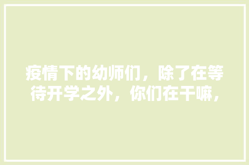 疫情下的幼师们，除了在等待开学之外，你们在干嘛，多肉养护环境。