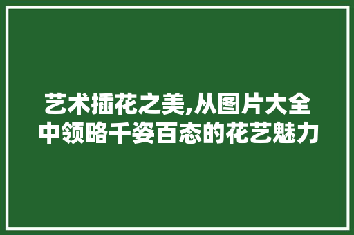 艺术插花之美,从图片大全中领略千姿百态的花艺魅力 植物分类