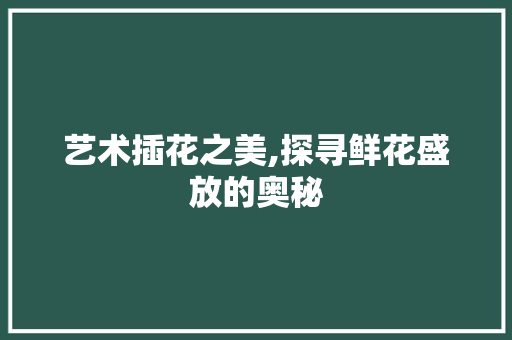 艺术插花之美,探寻鲜花盛放的奥秘