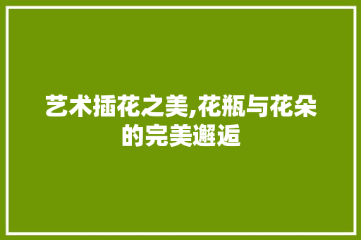 艺术插花之美,花瓶与花朵的完美邂逅