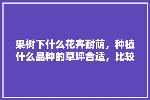 果树下什么花卉耐荫，种植什么品种的草坪合适，比较好养护的草坪植物有哪些。  第1张 果树下什么花卉耐荫，种植什么品种的草坪合适，比较好养护的草坪植物有哪些。 植物栽培