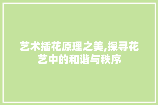 艺术插花原理之美,探寻花艺中的和谐与秩序