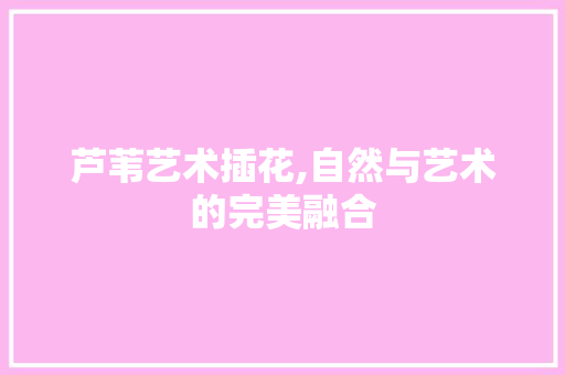 芦苇艺术插花,自然与艺术的完美融合