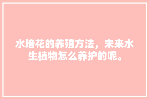 水培花的养殖方法，未来水生植物怎么养护的呢。  第1张 水培花的养殖方法，未来水生植物怎么养护的呢。 爬藤植物
