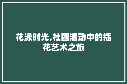花漾时光,社团活动中的插花艺术之旅