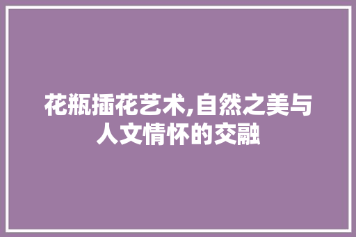 花瓶插花艺术,自然之美与人文情怀的交融 观叶植物