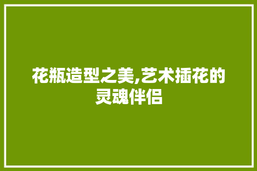 花瓶造型之美,艺术插花的灵魂伴侣 灌溉技术