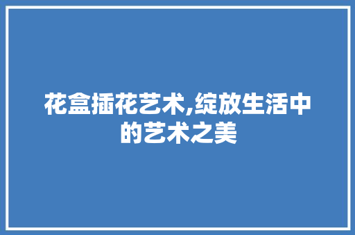 花盒插花艺术,绽放生活中的艺术之美