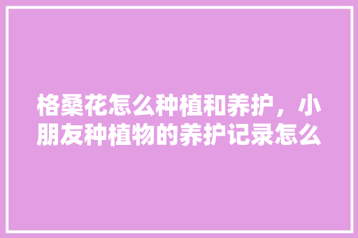 格桑花怎么种植和养护，小朋友种植物的养护记录怎么写。