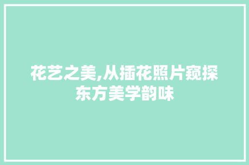花艺之美,从插花照片窥探东方美学韵味