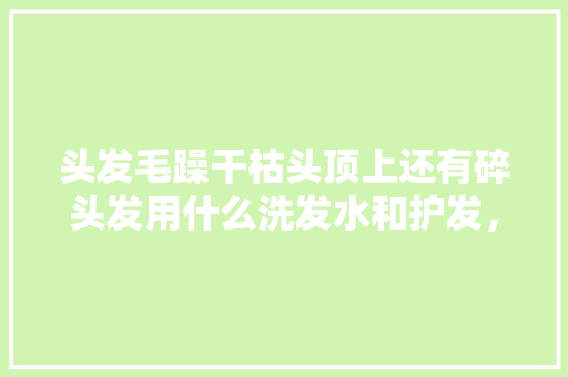 头发毛躁干枯头顶上还有碎头发用什么洗发水和护发，植物润养护发素怎么用的视频。
