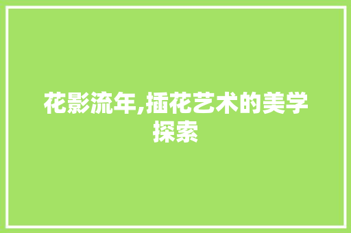花影流年,插花艺术的美学探索 植物养护