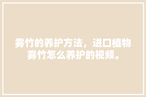 雾竹的养护方法，进口植物雾竹怎么养护的视频。  第1张 雾竹的养护方法，进口植物雾竹怎么养护的视频。 树木