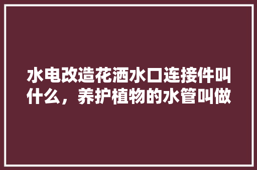 水电改造花洒水口连接件叫什么，养护植物的水管叫做什么名字。