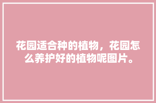 花园适合种的植物，花园怎么养护好的植物呢图片。