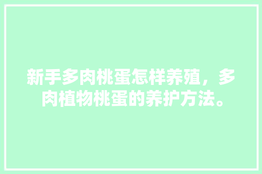 新手多肉桃蛋怎样养殖，多肉植物桃蛋的养护方法。  第1张 新手多肉桃蛋怎样养殖，多肉植物桃蛋的养护方法。 植物栽培