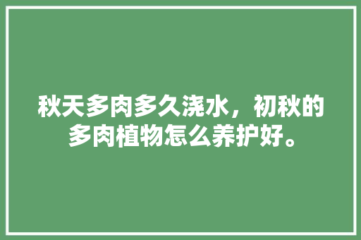 秋天多肉多久浇水，初秋的多肉植物怎么养护好。