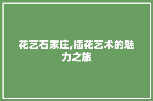 花艺石家庄,插花艺术的魅力之旅