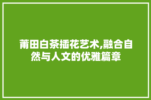 莆田白茶插花艺术,融合自然与人文的优雅篇章