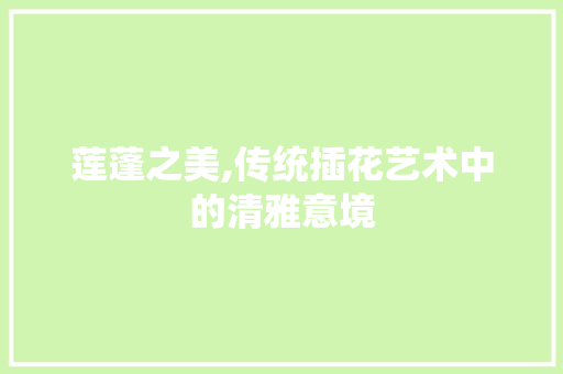 莲蓬之美,传统插花艺术中的清雅意境
