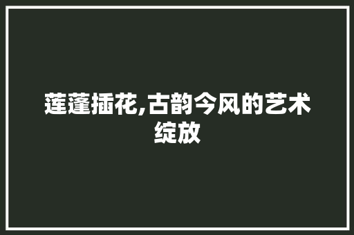 莲蓬插花,古韵今风的艺术绽放