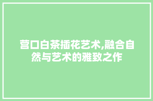营口白茶插花艺术,融合自然与艺术的雅致之作