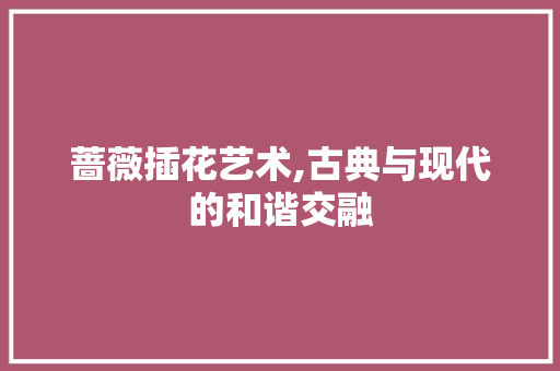 蔷薇插花艺术,古典与现代的和谐交融