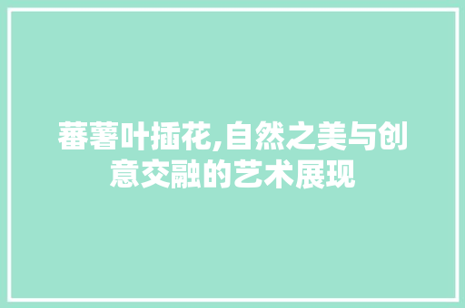 蕃薯叶插花,自然之美与创意交融的艺术展现