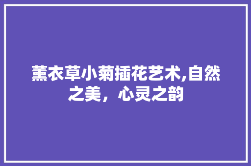 薰衣草小菊插花艺术,自然之美，心灵之韵