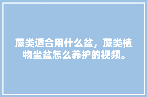 蕨类适合用什么盆，蕨类植物坐盆怎么养护的视频。