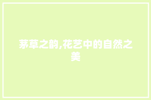 茅草之韵,花艺中的自然之美