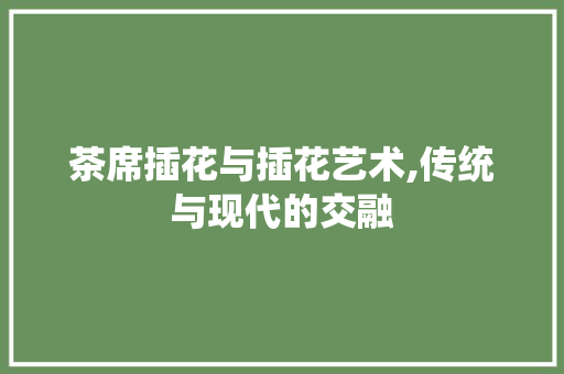 茶席插花与插花艺术,传统与现代的交融 植物养护