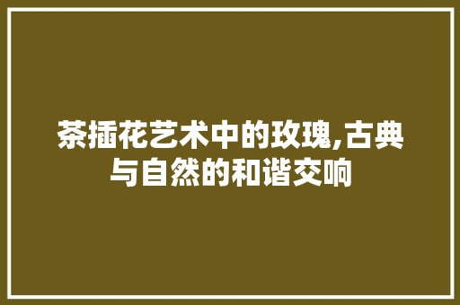 茶插花艺术中的玫瑰,古典与自然的和谐交响