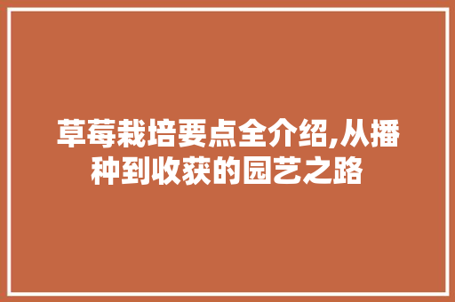 草莓栽培要点全介绍,从播种到收获的园艺之路