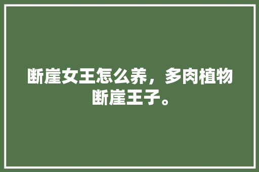 断崖女王怎么养，多肉植物断崖王子。