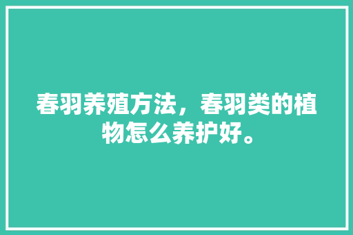 春羽养殖方法，春羽类的植物怎么养护好。