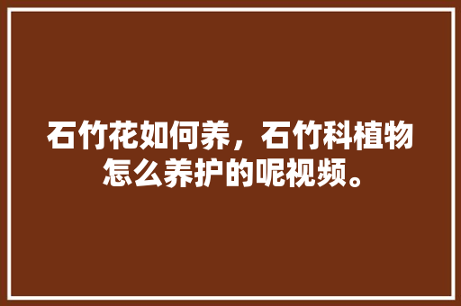 石竹花如何养，石竹科植物怎么养护的呢视频。