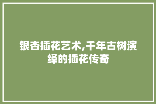 银杏插花艺术,千年古树演绎的插花传奇
