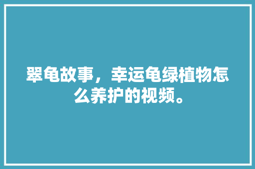 翠龟故事，幸运龟绿植物怎么养护的视频。