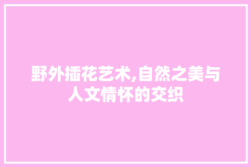 野外插花艺术,自然之美与人文情怀的交织