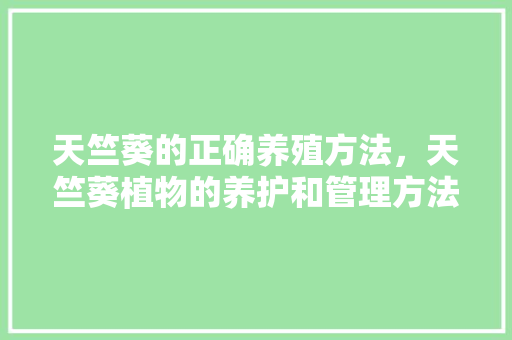 天竺葵的正确养殖方法，天竺葵植物的养护和管理方法。