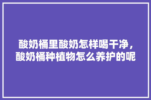 酸奶桶里酸奶怎样喝干净，酸奶桶种植物怎么养护的呢。