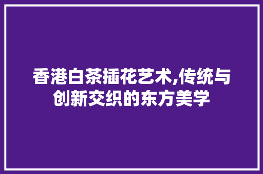 香港白茶插花艺术,传统与创新交织的东方美学
