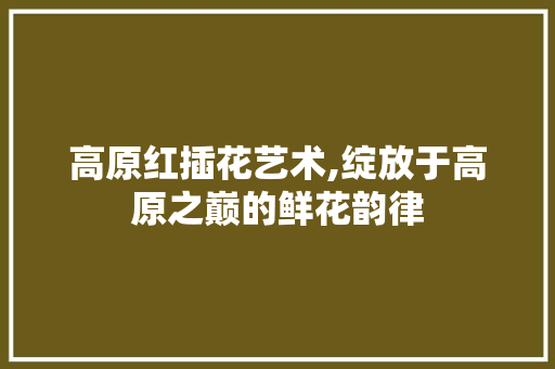 高原红插花艺术,绽放于高原之巅的鲜花韵律