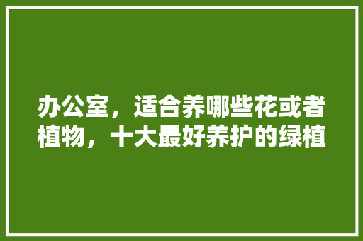 办公室，适合养哪些花或者植物，十大最好养护的绿植植物图片。