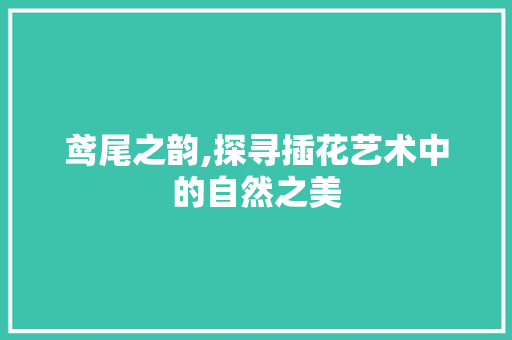 鸢尾之韵,探寻插花艺术中的自然之美