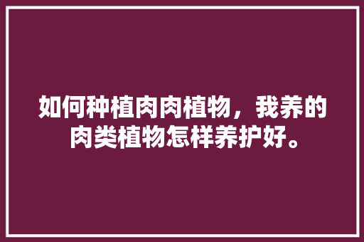 如何种植肉肉植物，我养的肉类植物怎样养护好。  第1张 如何种植肉肉植物，我养的肉类植物怎样养护好。 植物栽培
