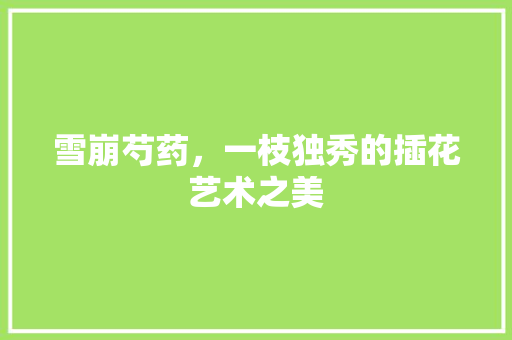 雪崩芍药，一枝独秀的插花艺术之美